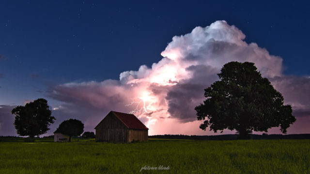 A Senate Of Electricity